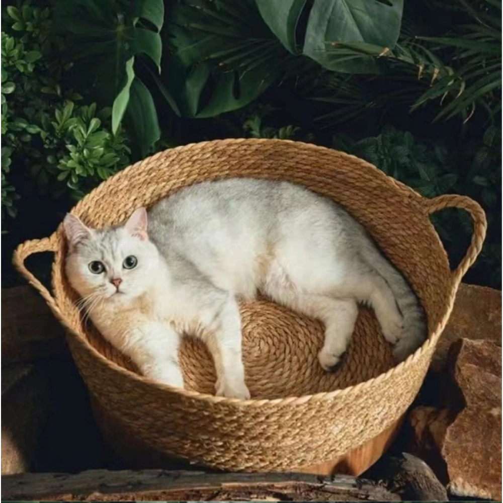 Cat Gog Bed Rattan Four Season Cat Bed Summer Cool Nest Pet Cat Supplies Cattail Woven House Nest Cama De Mimbre Para Mascotas