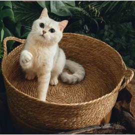 Cat Gog Bed Rattan Four Season Cat Bed Summer Cool Nest Pet Cat Supplies Cattail Woven House Nest Cama De Mimbre Para Mascotas